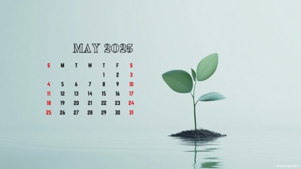 May 2025 Calendar Wallpaper HD for PC.