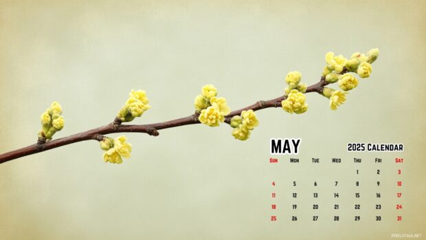 May 2025 Calendar Wallpaper High Quality.