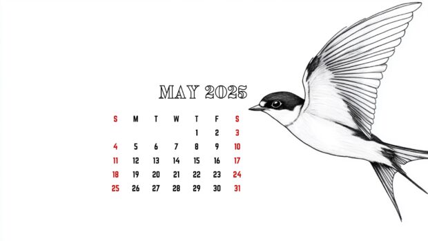 May 2025 Calendar Wallpaper High Resolution.