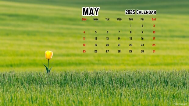 May 2025 Calendar Wallpaper for Mac.