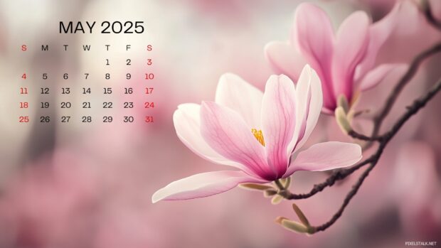 May 2025 Calendar Wallpaper for PC.