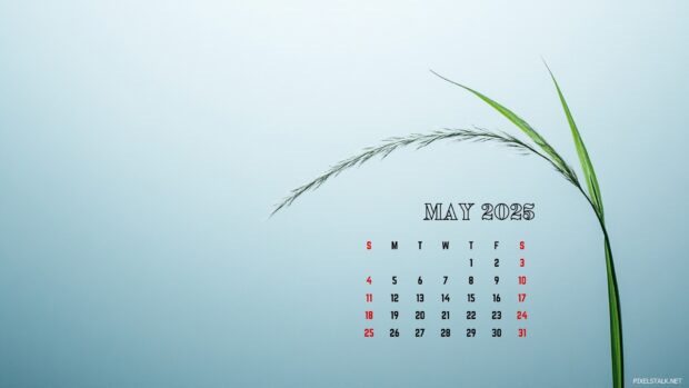 May 2025 Calendar Wide Screen Backgrounds May 2025 Calendar Backgrounds High Quality.