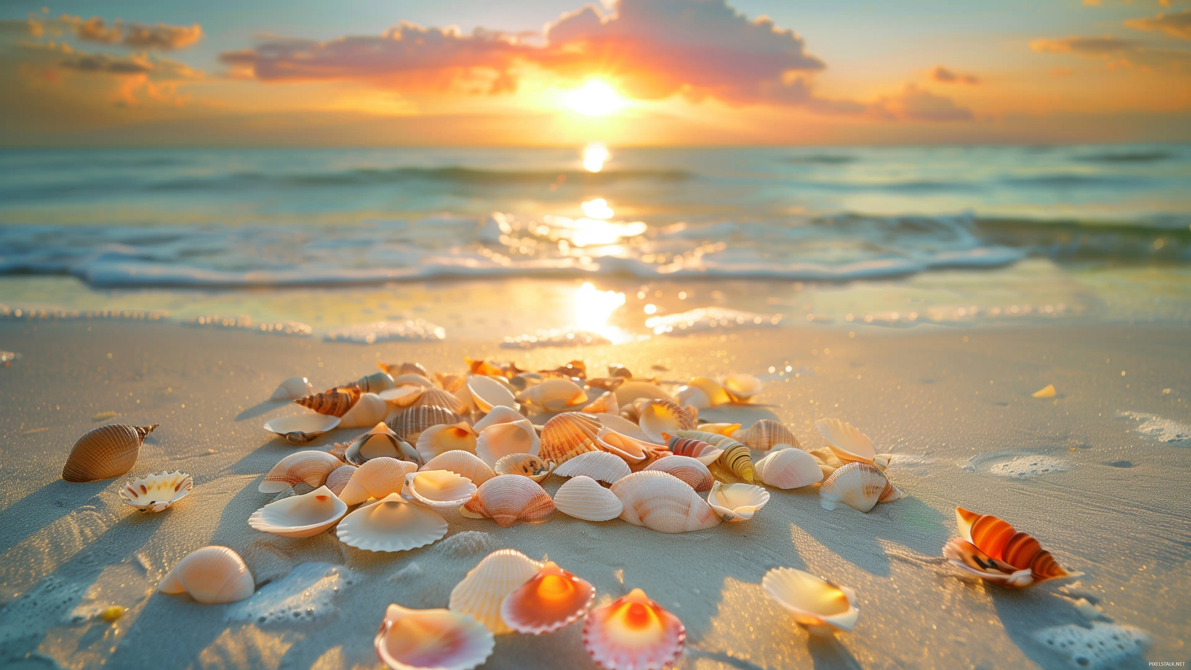 A sunset beach scene with colorful seashells scattered across the shore, warm hues reflecting on the water.