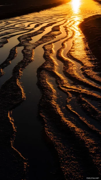 Sunrise casts glowing lines across patterned rice fields.