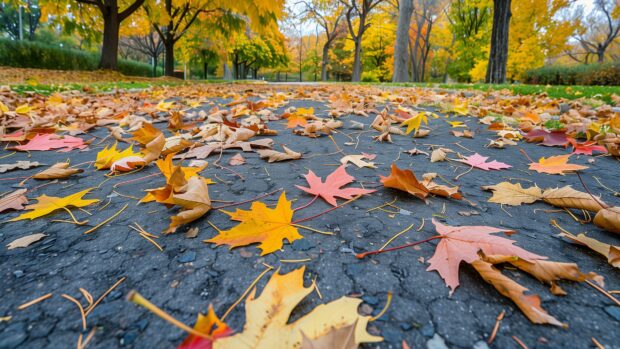 4K autumn wallpaper with pathway covered with fallen autumn leaves in a serene park.
