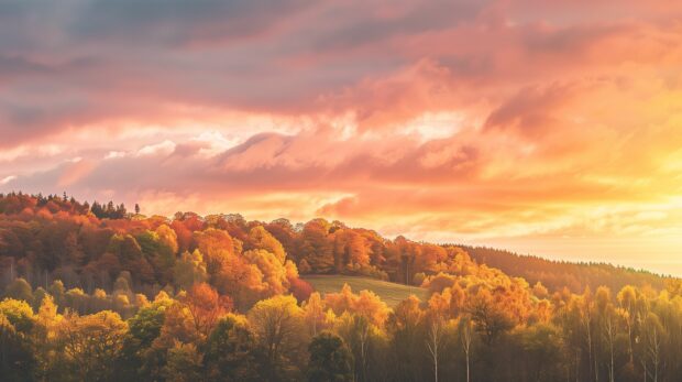 A Fall sunset over a forest, sky painted with warm hues of orange and pink.