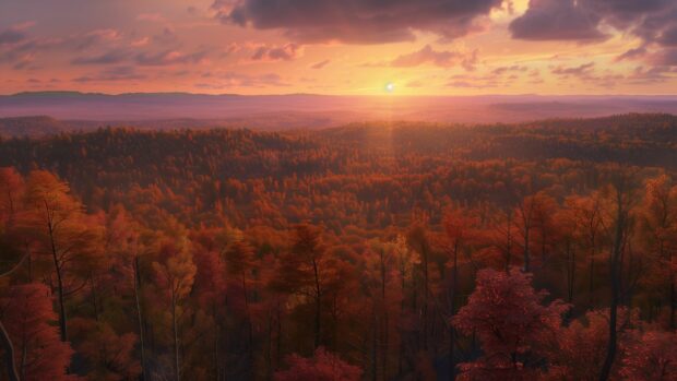 A autumn sunset over a forest, sky painted with warm hues of orange and pink, Desktop HD Wallpaper.