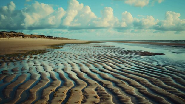 A beach at low tide with expansive sandy flats and distant waves.