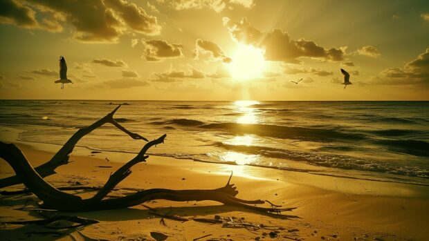 A calm sunset beach with driftwood and seagulls flying across the horizon, the sun casting a golden glow.