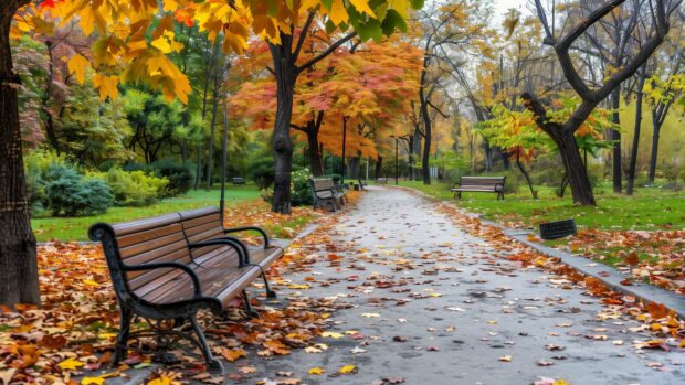 A city park in autumn, with benches, pathways, and fall foliage background 4K.