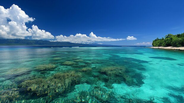 A pristine ocean wallpaper 4K with crystal clear water and vibrant coral reefs below.