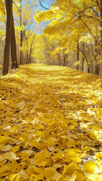 A serene forest path covered in golden leaves.