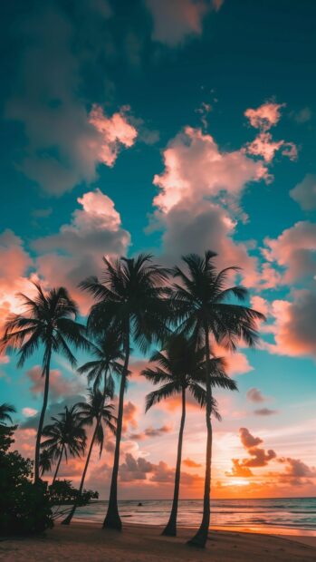 A sunset over a tropical beach with palm trees silhouetted against the blue sky.