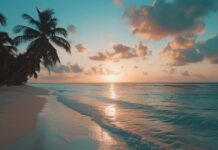 A sunset over a tropical beach with palm trees silhouetted against the sky, Beach Desktop Wallpaper HD.