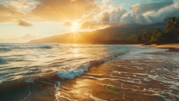 A tropical Beach Desktop 4K Background with a vibrant sunset, casting warm hues over the crystal clear ocean and palm fringed shore.