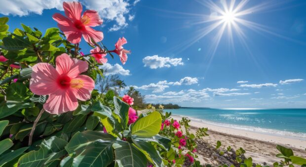 A tropical beach with exotic flowers and lush vegetation.