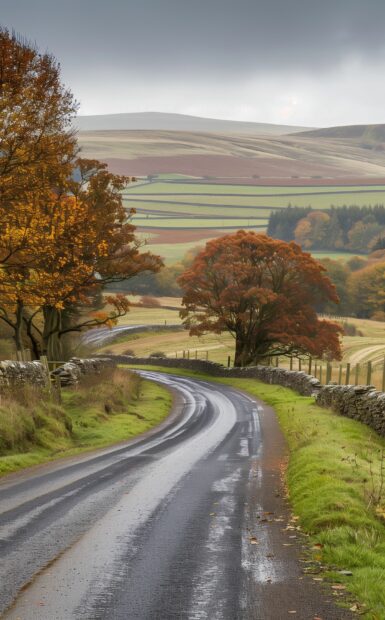 A winding country road lined with vibrant autumn trees leading towards distant hills, Country 4K Wallpaper for iPhone.