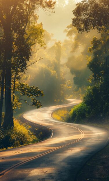 A winding road through a misty forest with sunlight filtering through the trees, Country Background for Mobile devices.
