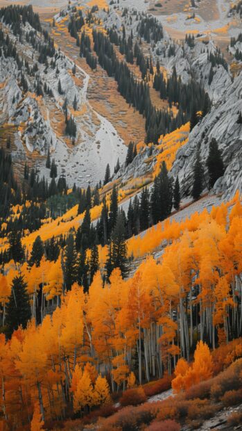 A scenic mountain landscape in fall background mobile.