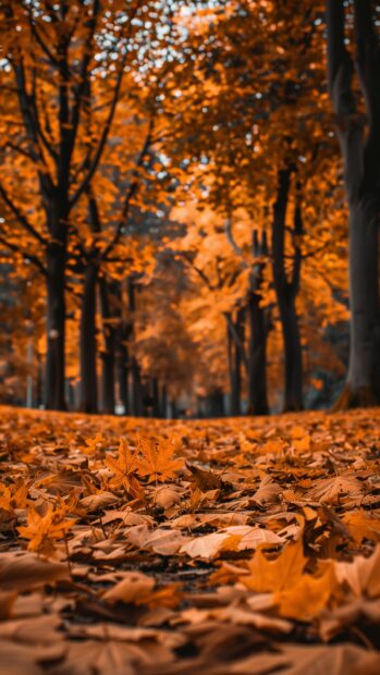 A serene forest path covered in golden leaves background.