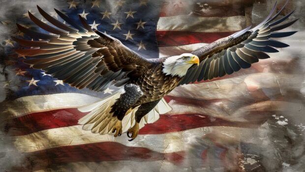 American flag with a bald eagle flying, Wallpaper HD.