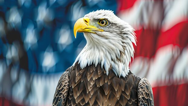 American flag with an eagle in the 4K background.