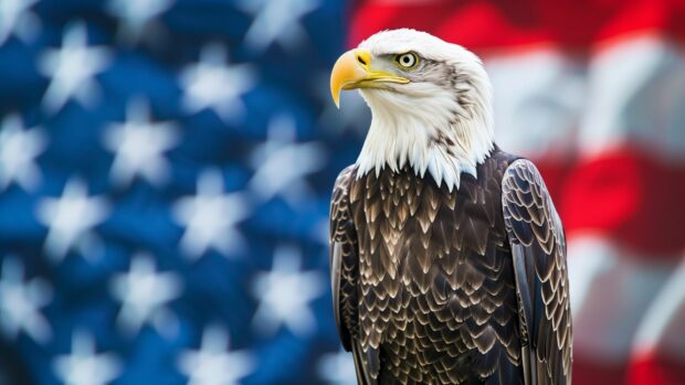 American flag with an eagle in the background, Desktop Wallpaper HD.