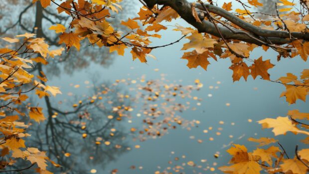 Autumn Desktop Wallpaper, Autumn leaves creating a picturesque frame around a peaceful lake.