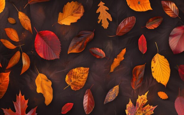 Autumn leaf pattern on a solid background.