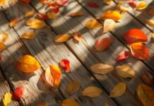 Autumn leaves HD desktop wallpaper with Fall leaves scattered on a wooden surface.