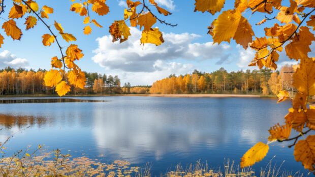 Autumn leaves creating a picturesque frame around a peaceful lake, 4K Wallpaper.