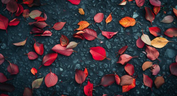 Autumn leaves scattered on a flat surface (2).