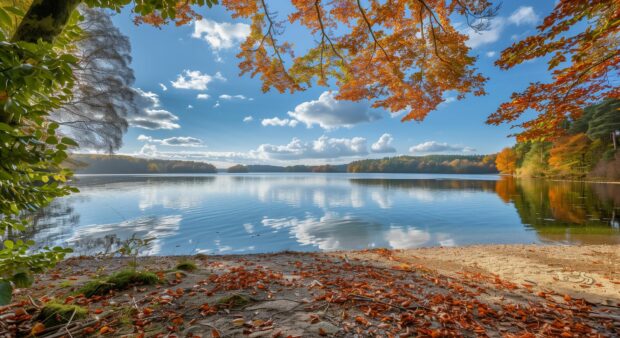 Autumn leaves wallpaper creating a picturesque frame around a peaceful lake.