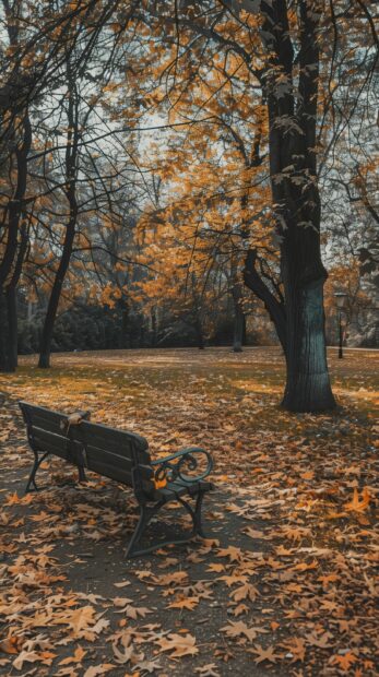 Autumn park with a bench covered in fallen leaves, trees with colorful foliage, Fall wallpaper iPhone.