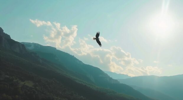 Beautiful HD Desktop Background with a majestic eagle soaring over a picturesque mountain range.