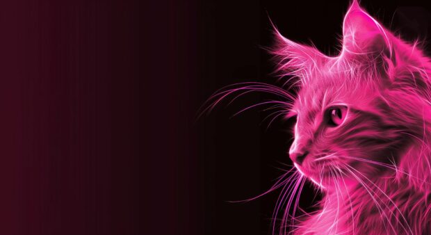 Beautiful Pink cat Background HD.