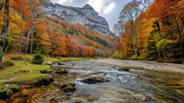 Beautiful autumn 4K landscape with a river and colorful trees.