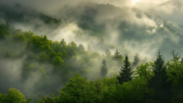 Bing background with foggy mountain landscape, sun breaking through the clouds, mystical ambiance.