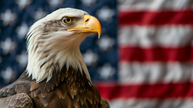 Cool American flag with an eagle in the background.