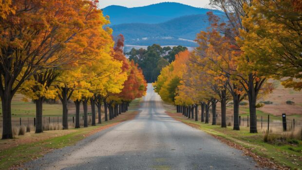 Country Desktop Wallpaper with a winding country road lined with vibrant autumn trees leading towards distant hills.