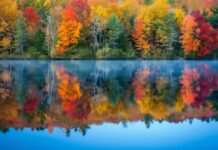 Fall background for desktop with a tranquil lake reflecting colorful fall foliage.