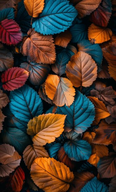 Fall leaves in a beautiful pattern, showcasing the rich colors of autumn, mobile wallpaper.