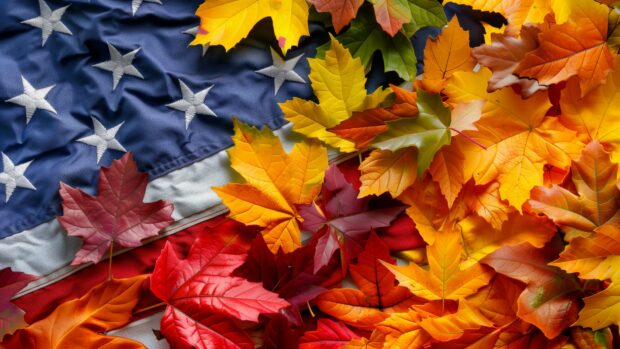 Free doanload HD Wallpaper, American flag with autumn leaves.