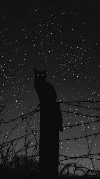 Halloween black cat with glowing eyes sitting on a fencepost under a starry sky.
