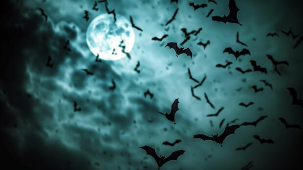 Halloween moonlit night with bats flying across the sky, Scary Halloween Wallpaper 4K.