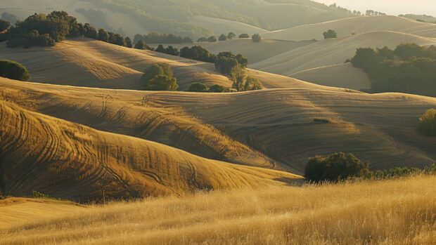 Nature photo with Rolling hills with golden grass, soft evening light, tranquil scene.
