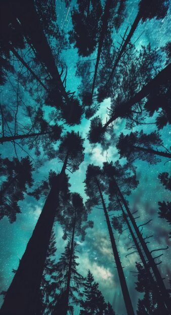 Northern Lights with silhouettes of tall pine trees.