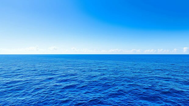 Ocean 4K background with a deep blue ocean stretching out to the distant horizon under a clear sky.