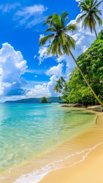 Ocean Aesthetic wallpaper with a tropical beach with palm trees and crystal clear turquoise water.