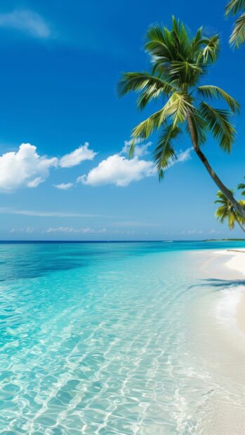 Ocean background for iPhone with a tropical beach with palm trees and crystal clear turquoise water.
